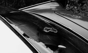 Begeisterung für das Glas Goggo Coupé